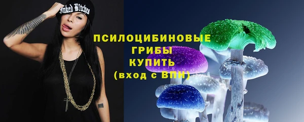 PSILOCYBIN Верхнеуральск