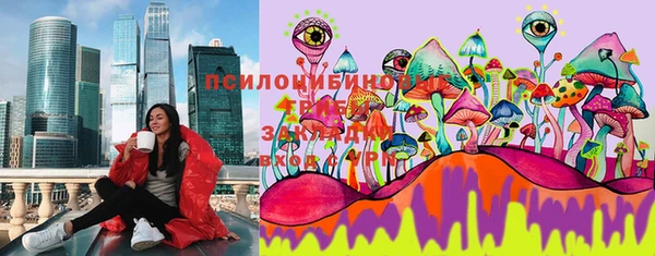 PSILOCYBIN Верхнеуральск