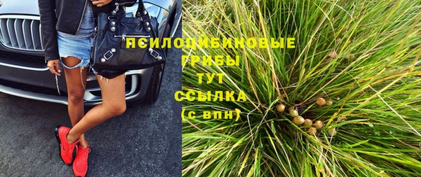 PSILOCYBIN Верхнеуральск