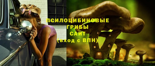 PSILOCYBIN Верхнеуральск