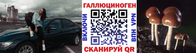 Купить где  Аркадак  Галлюциногенные грибы ЛСД 